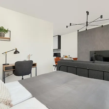 Luksusowe W Lodzi Z Biurkiem, Balkonem I Klimatyzatorem By Renters Prestige