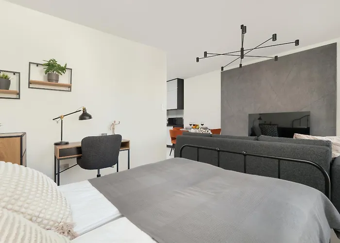 Luksusowe W Lodzi Z Biurkiem, Balkonem I Klimatyzatorem By Renters Prestige